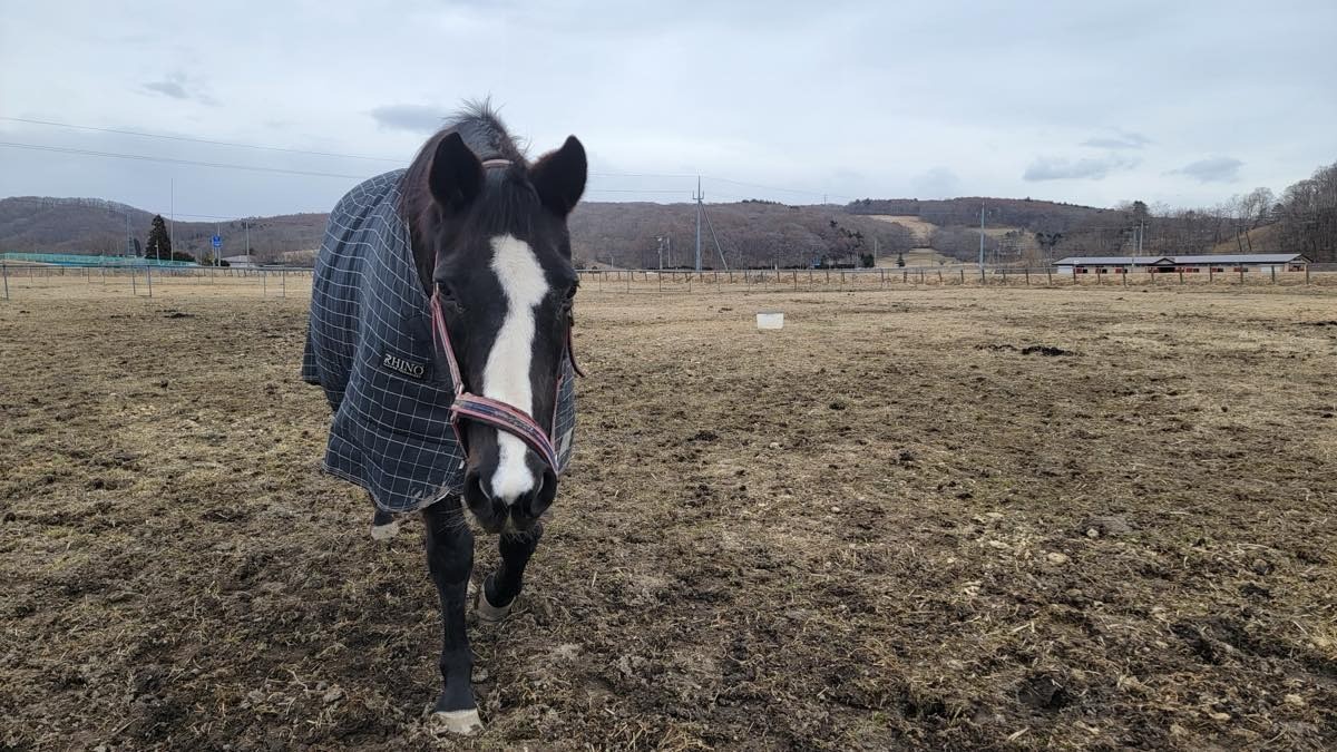 aef4ffc52bae6f9a27cf3b0d55755954-1773630985.jpg aef4ffc52bae6f9a27cf3b0d55755954-1773630985.jpg